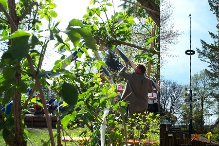 Maibaum